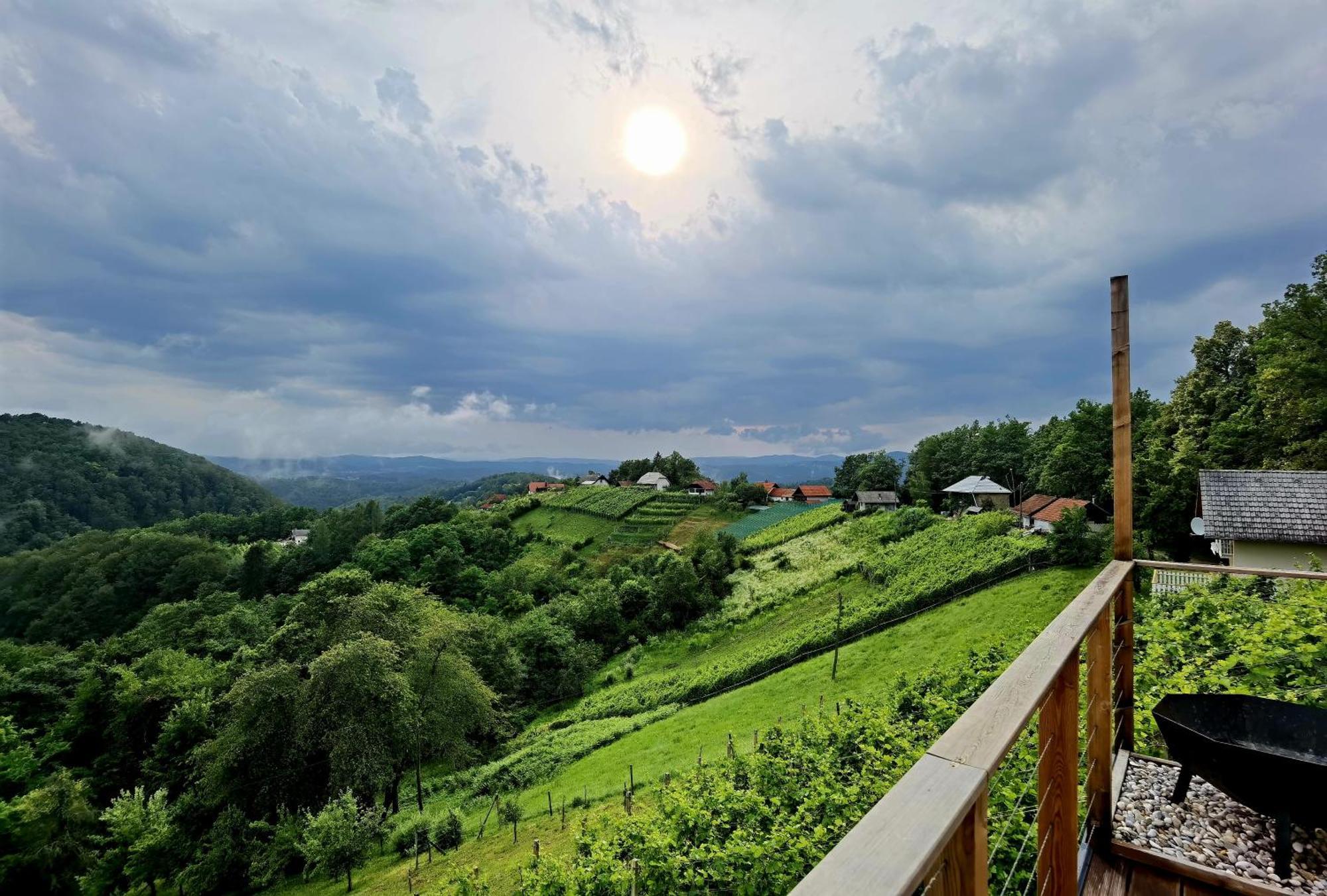 Vineyard Cottage Soncni Gric Trebnje Bagian luar foto