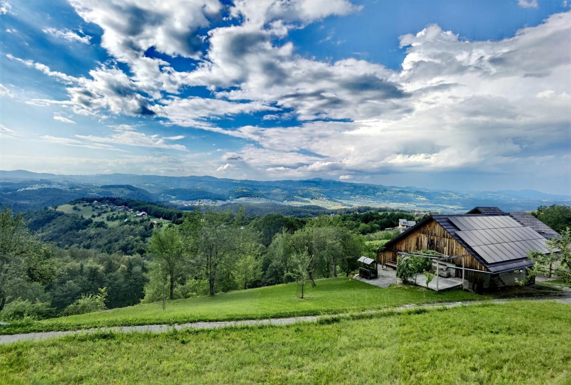 Vineyard Cottage Soncni Gric Trebnje Bagian luar foto