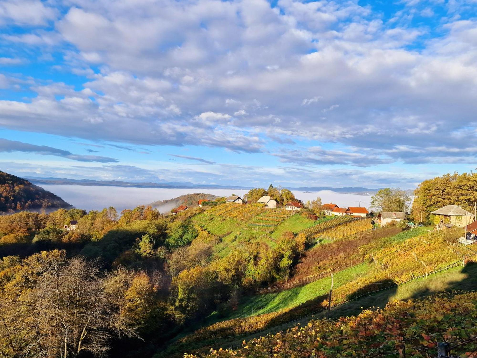 Vineyard Cottage Soncni Gric Trebnje Bagian luar foto